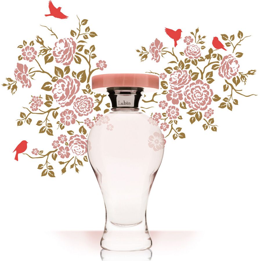 Our Other Favorite Fragrances